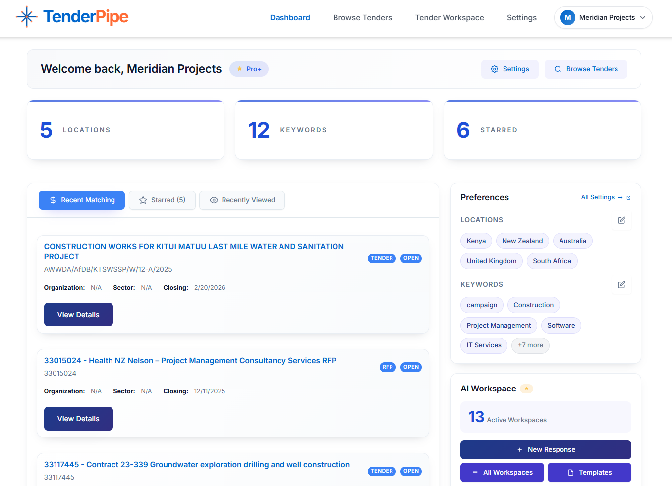 TenderPipe Dashboard Preview - Real-time tender tracking interface